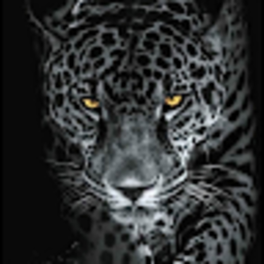 Meet your Posher, Martinrobin